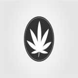 Cannabis 